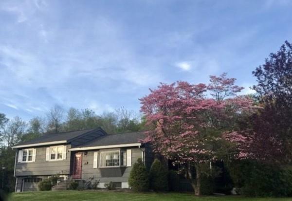 9 Arcadia Road Norwood, MA 02062 - Photo 2 of 36 Gallery Image 2