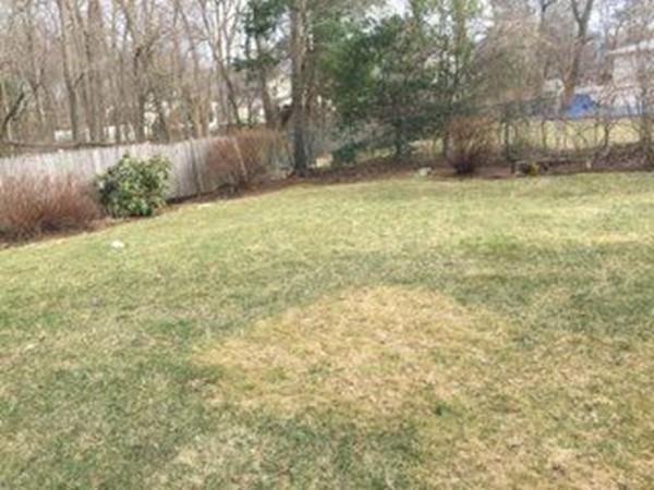 9 Arcadia Road Norwood, MA 02062 - Photo 32 of 36 Gallery Image 32