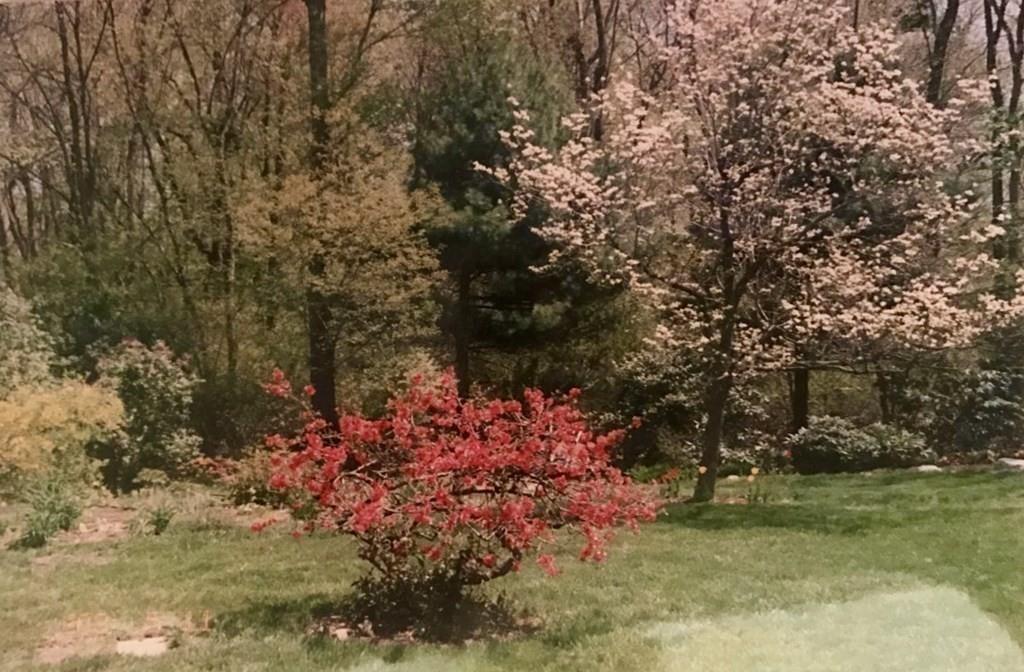 9 Arcadia Road Norwood, MA 02062 - Photo 35 of 36 Gallery Image 35