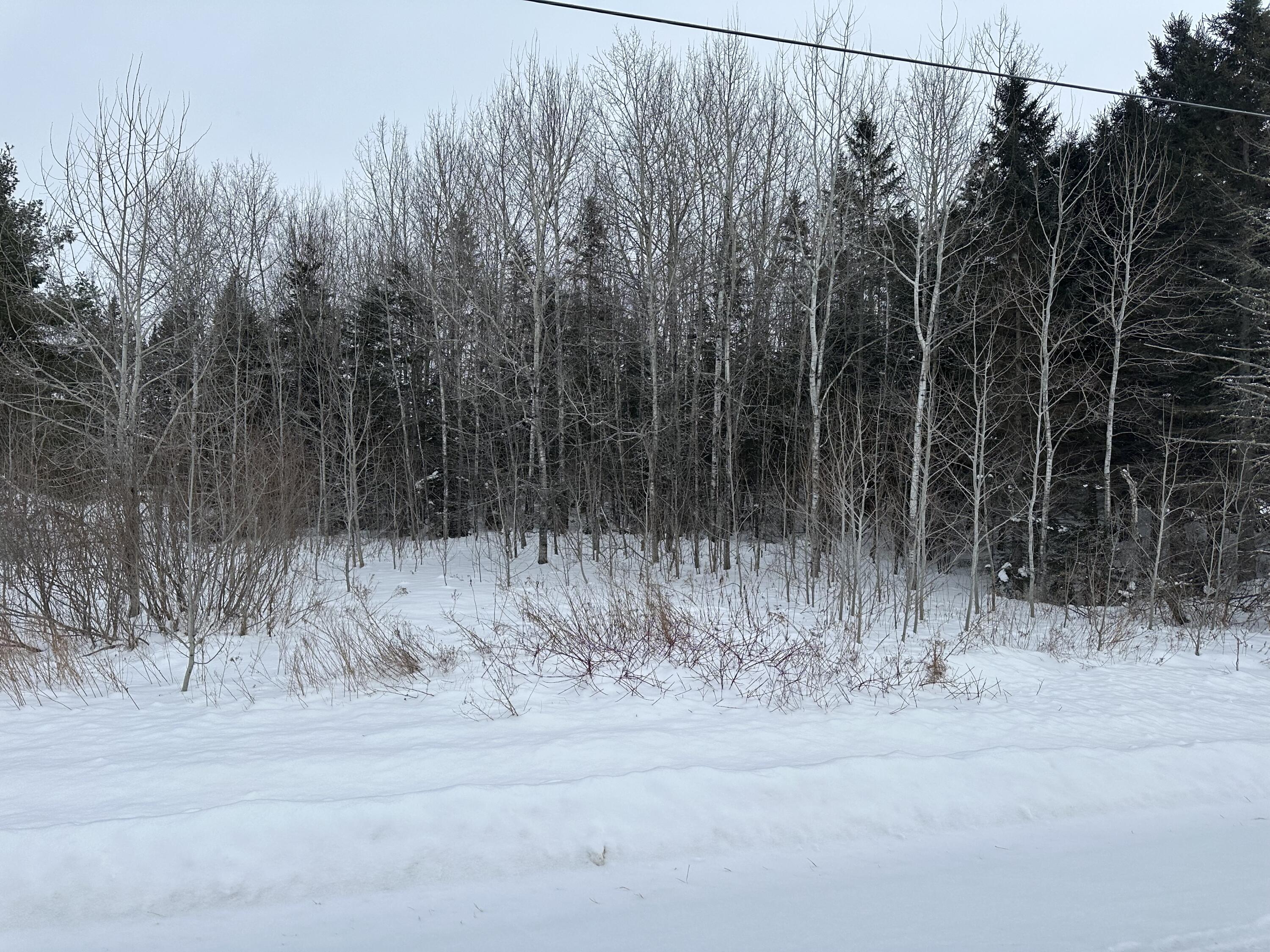 Lot 26 Belyea Road Caribou, ME 04736 - Photo 1 of 3 IMG_5917