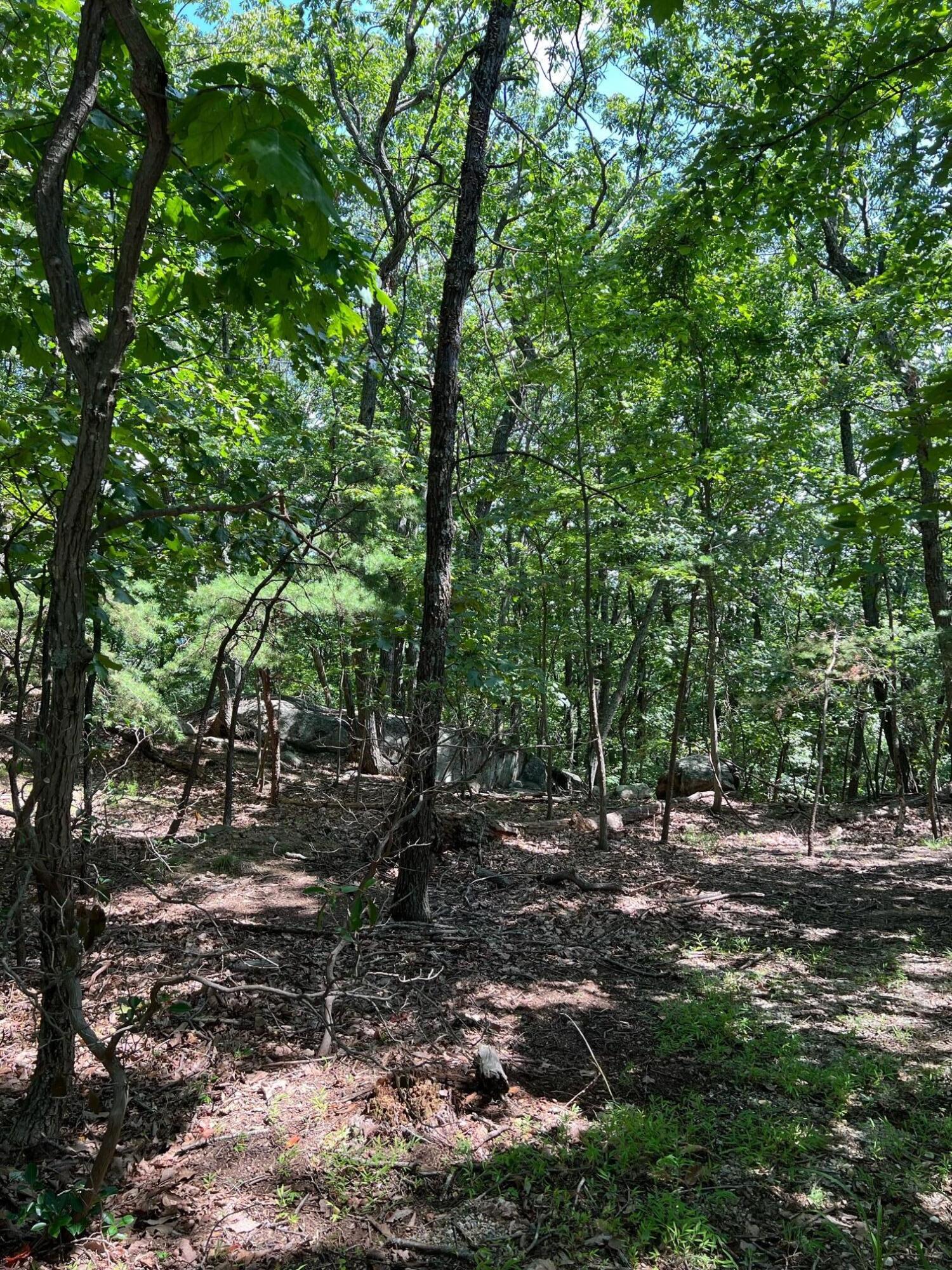 0 Turtle Back Path Hardy, VA 24101 - Photo 4 of 10 image3