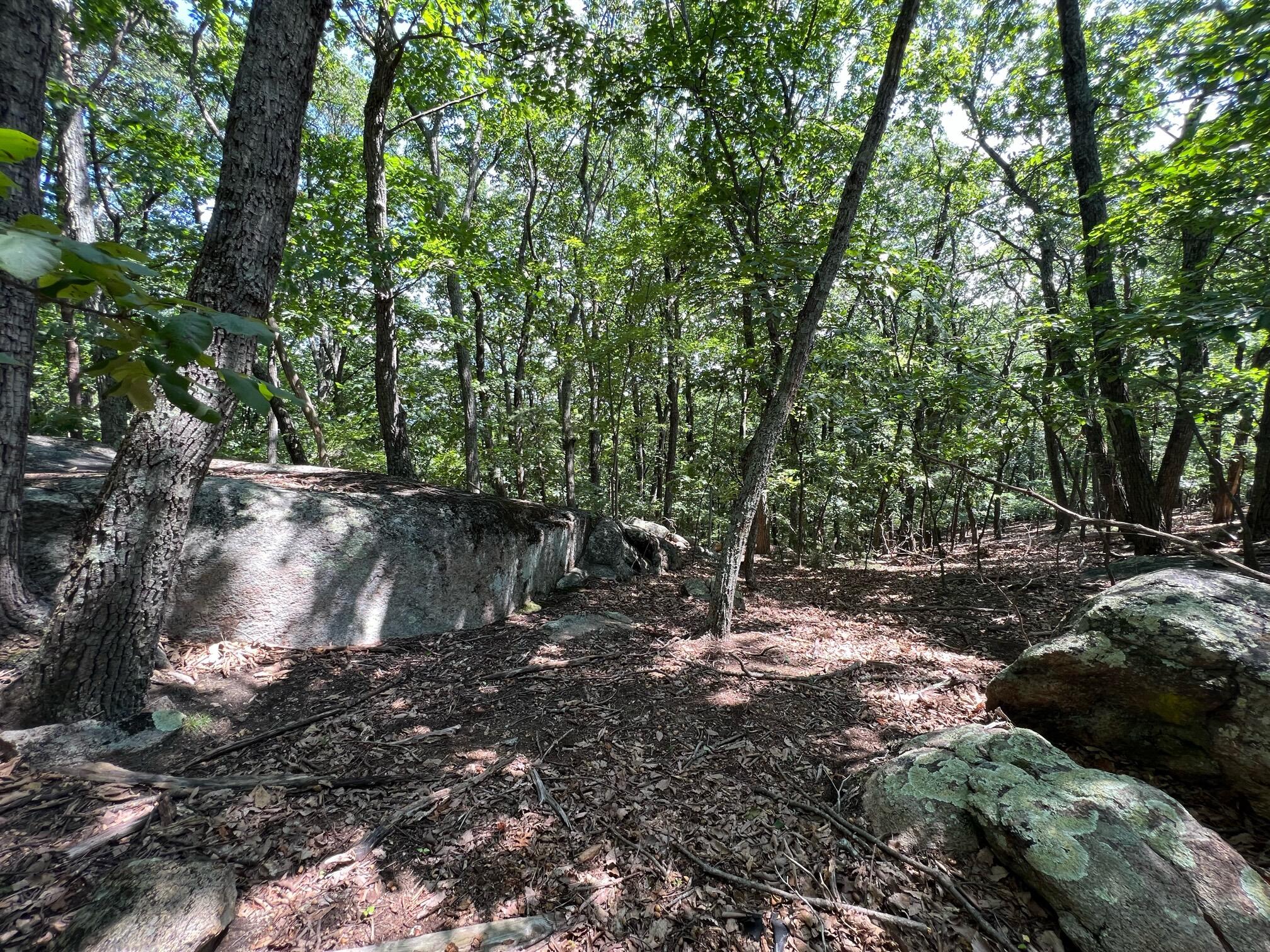 0 Turtle Back Path Hardy, VA 24101 - Photo 5 of 10 image4