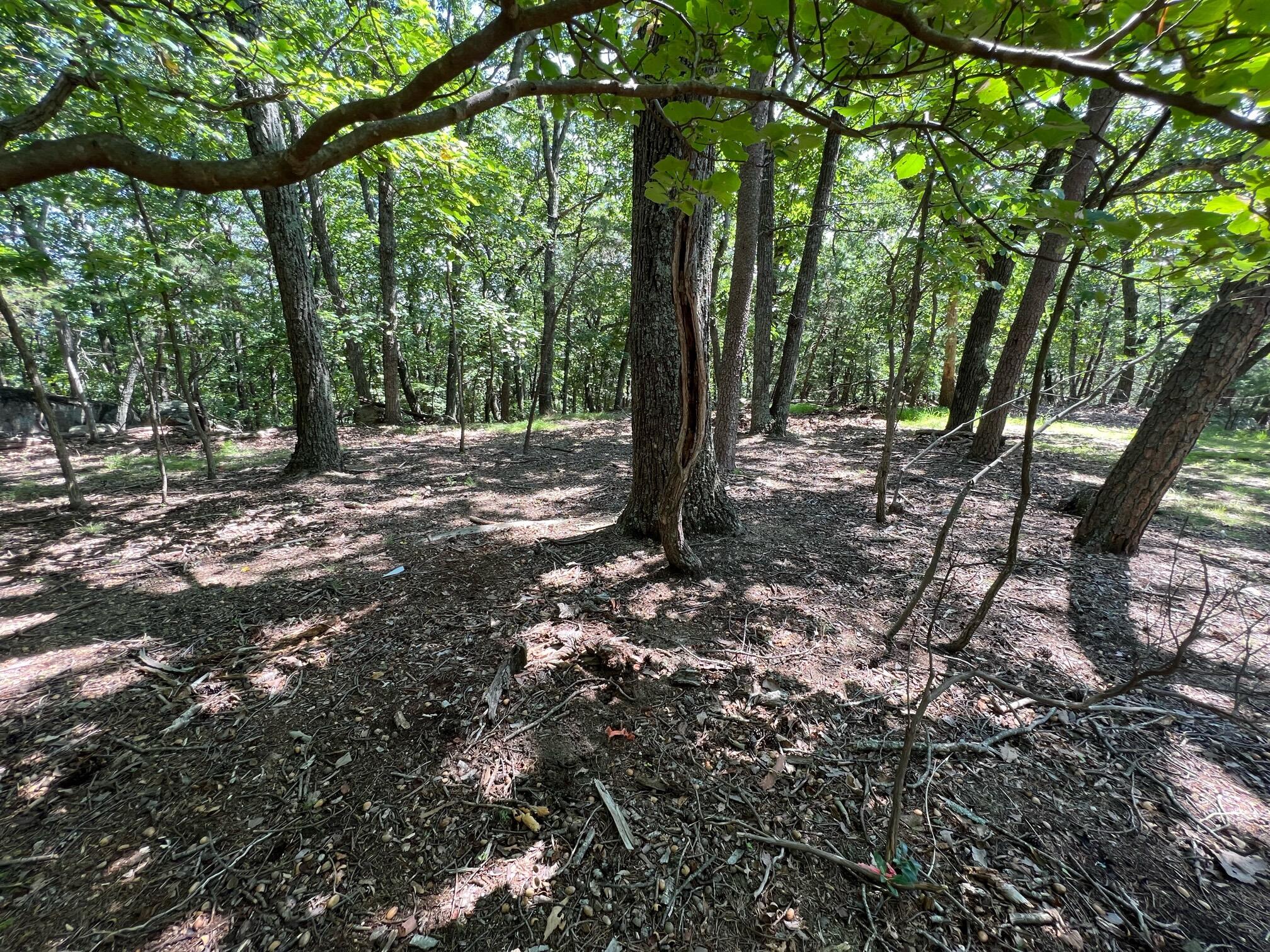 0 Turtle Back Path Hardy, VA 24101 - Photo 7 of 10 image7