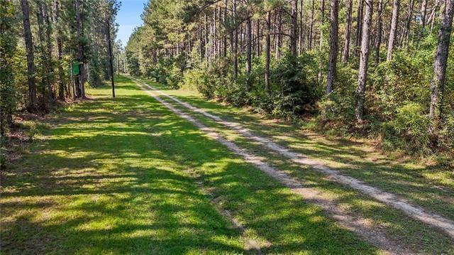 27499 Turkey Creek Road Independence, LA 70443 - Photo 27 of 28