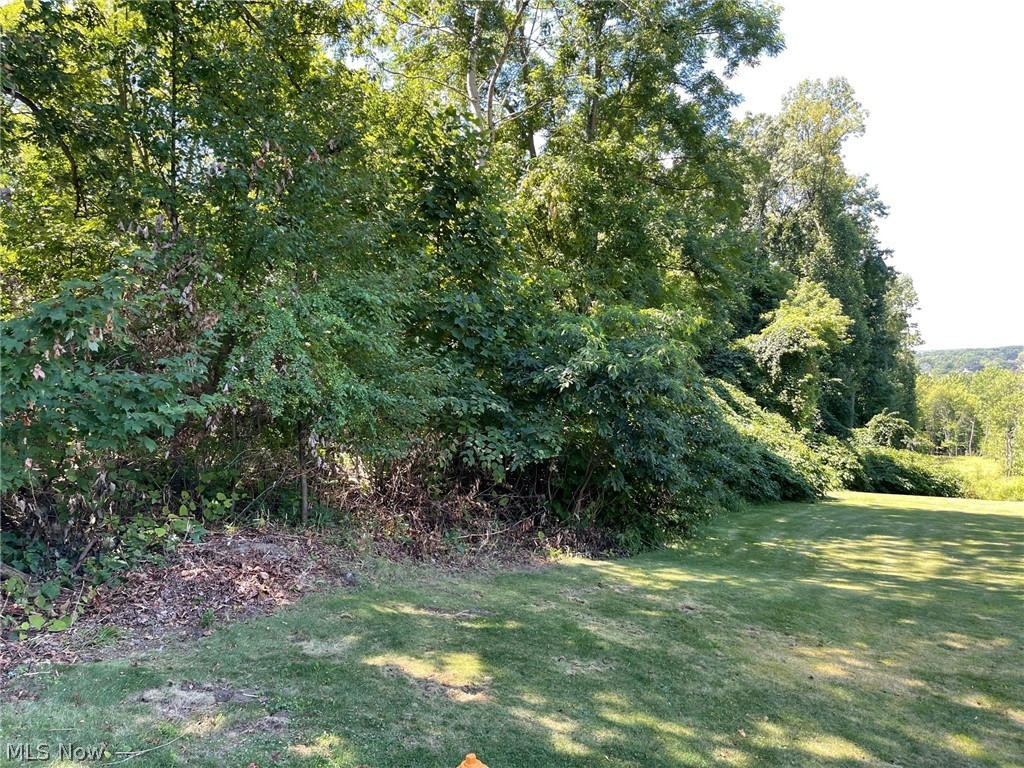 Brownstone Avenue Akron, OH 44310 - Photo 4 of 5