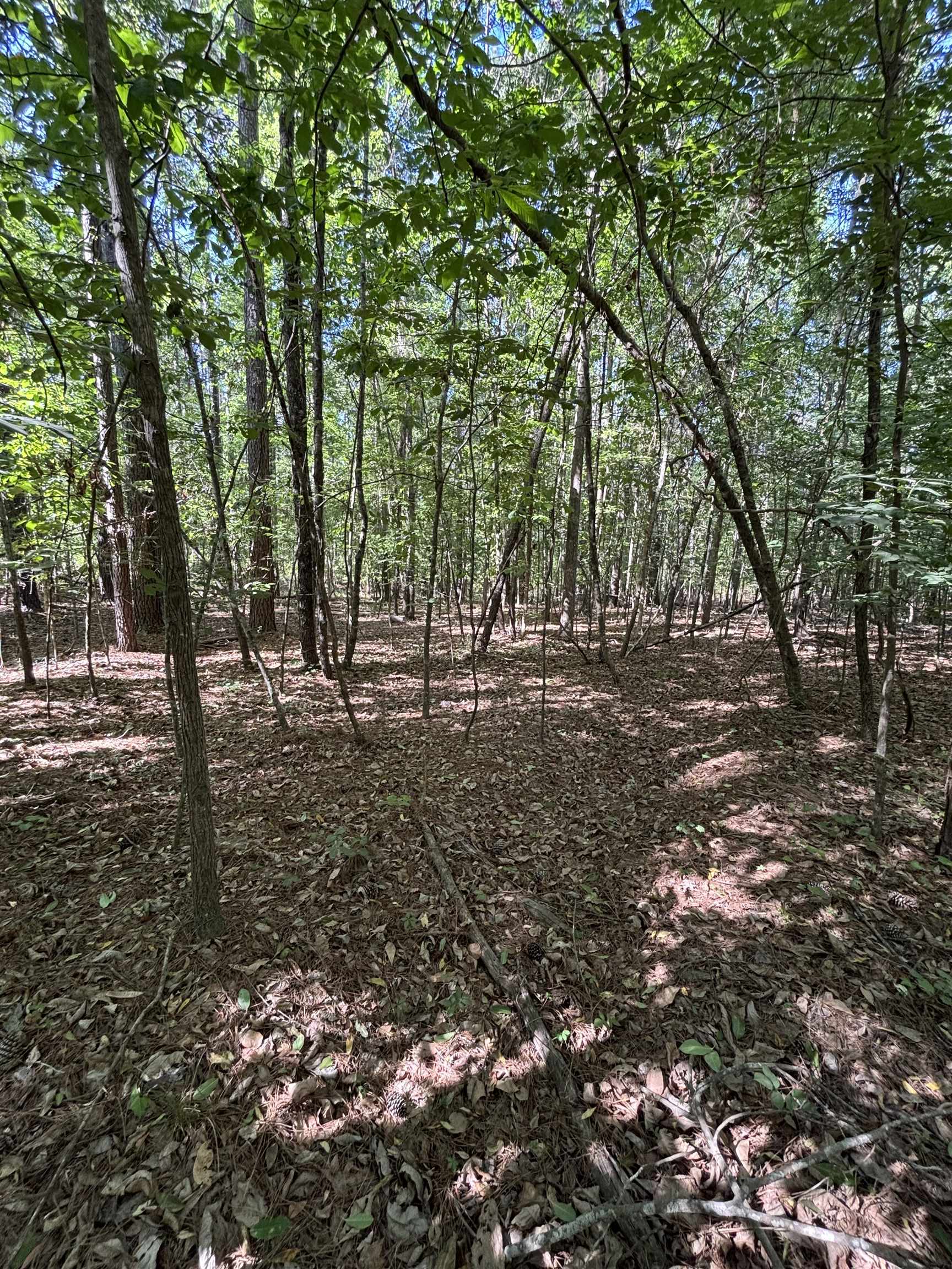 Tbd Pearson Road Summerton, SC 29148 - Photo 5 of 6