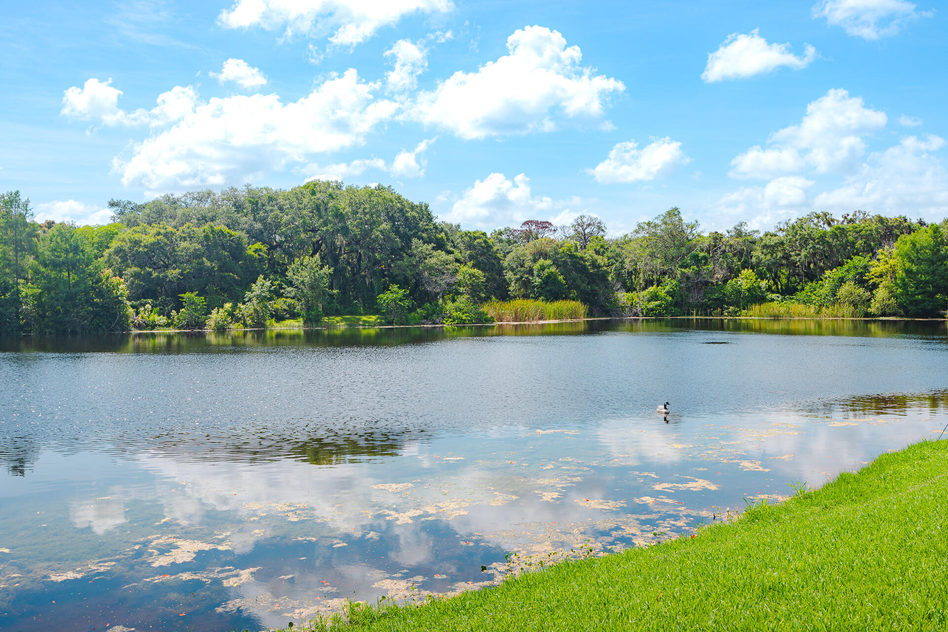 3302 Ridge Trace Davie, FL 33328 - Photo 3 of 41 3302RidgeTrace-32