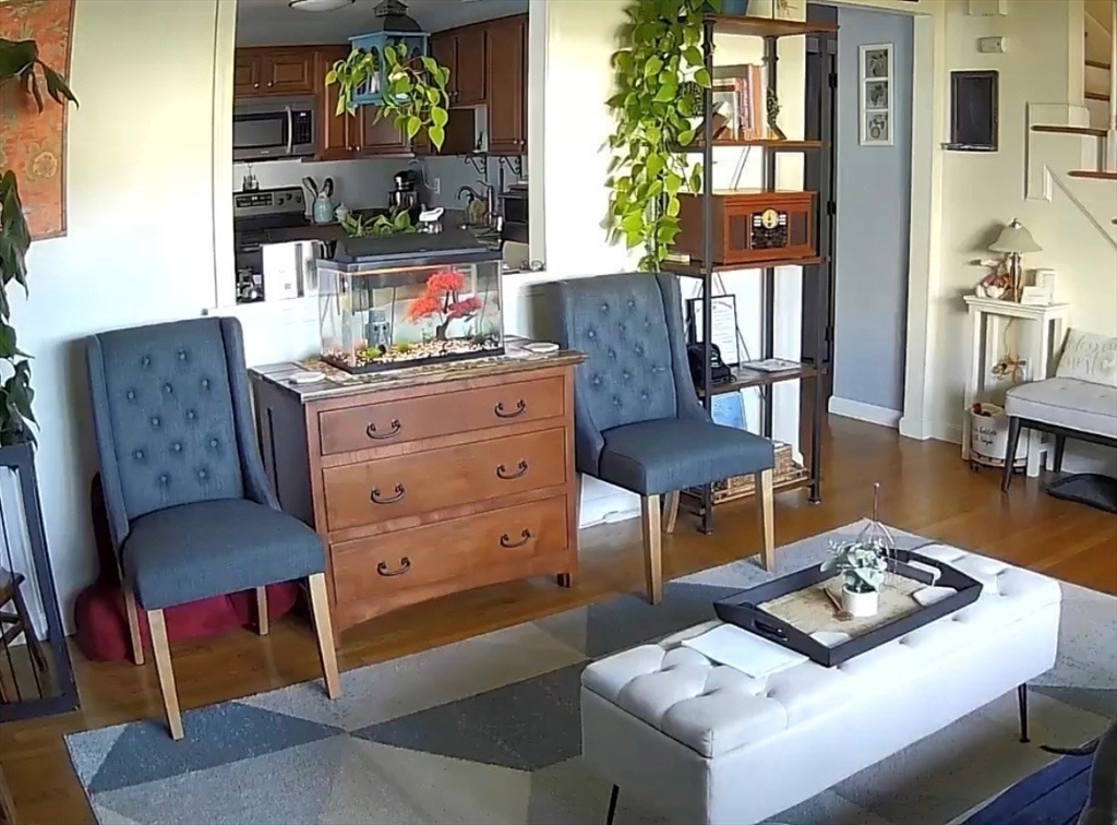 10 Erick Road, Unit 5 Mansfield, MA 02048 - Photo 6 of 24 a living room with furniture and a potted plant