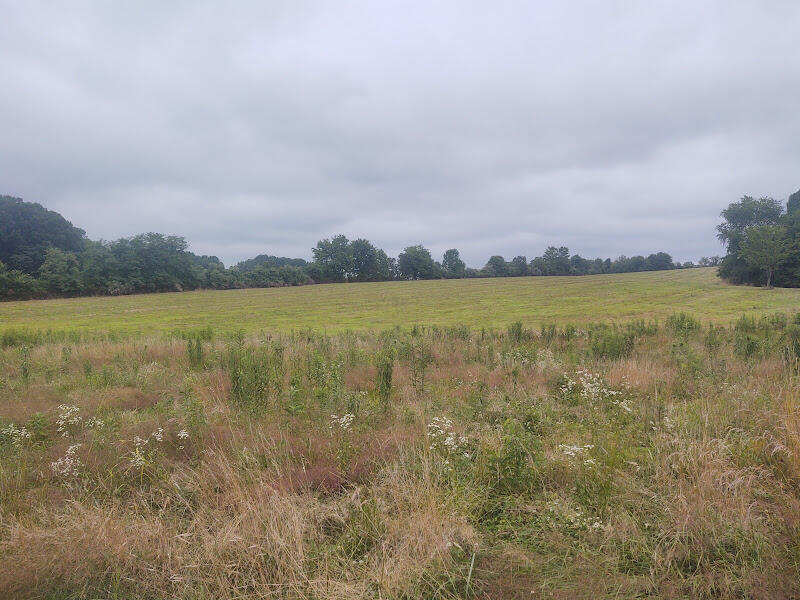 620 Caudill Cemetery Road Morehead, KY 40351 - Photo 48 of 61 Smothers Extrerior 8