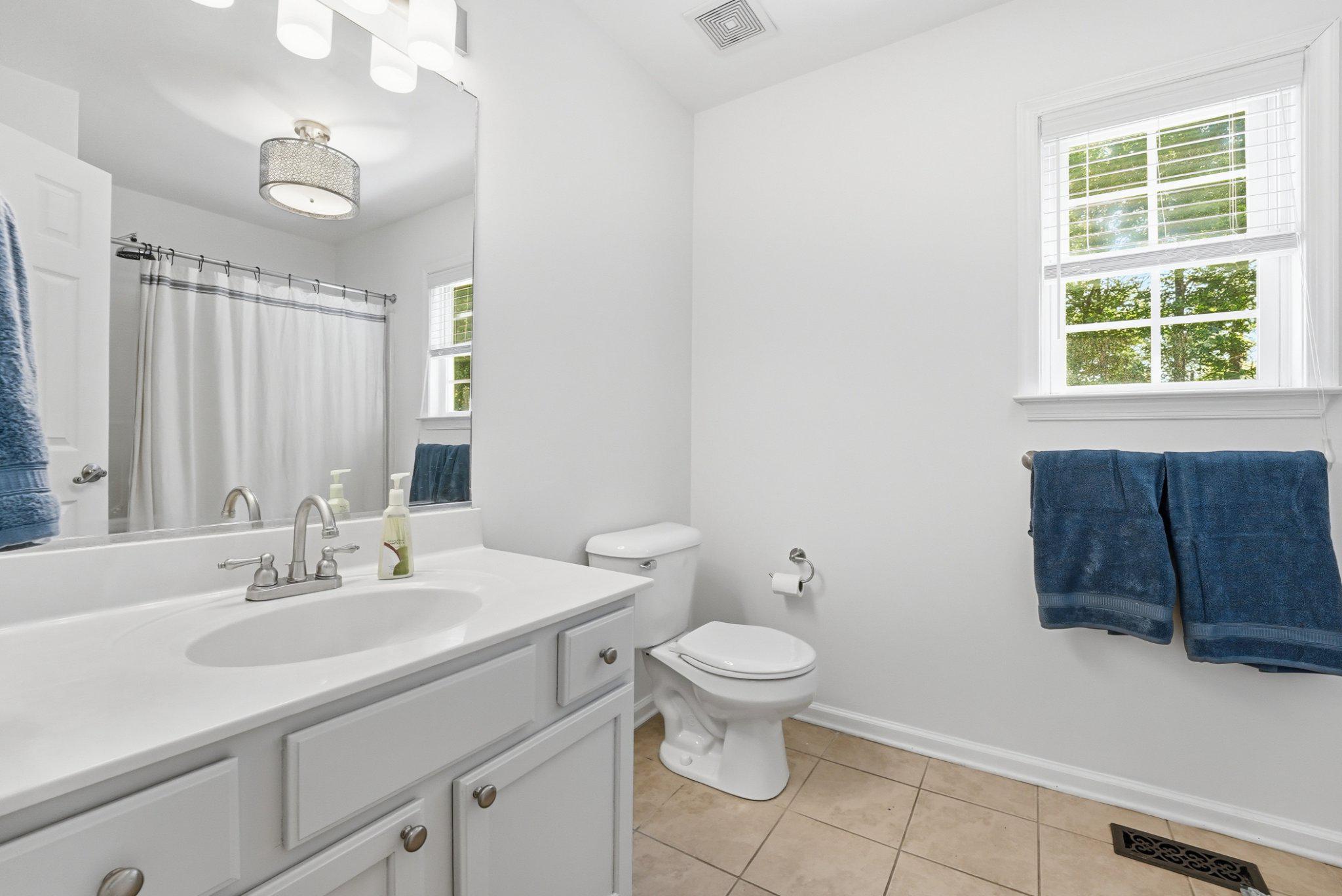 1522 Meander Run Road Locust Dale, VA 22948 - Photo 34 of 72 Guest bath main level