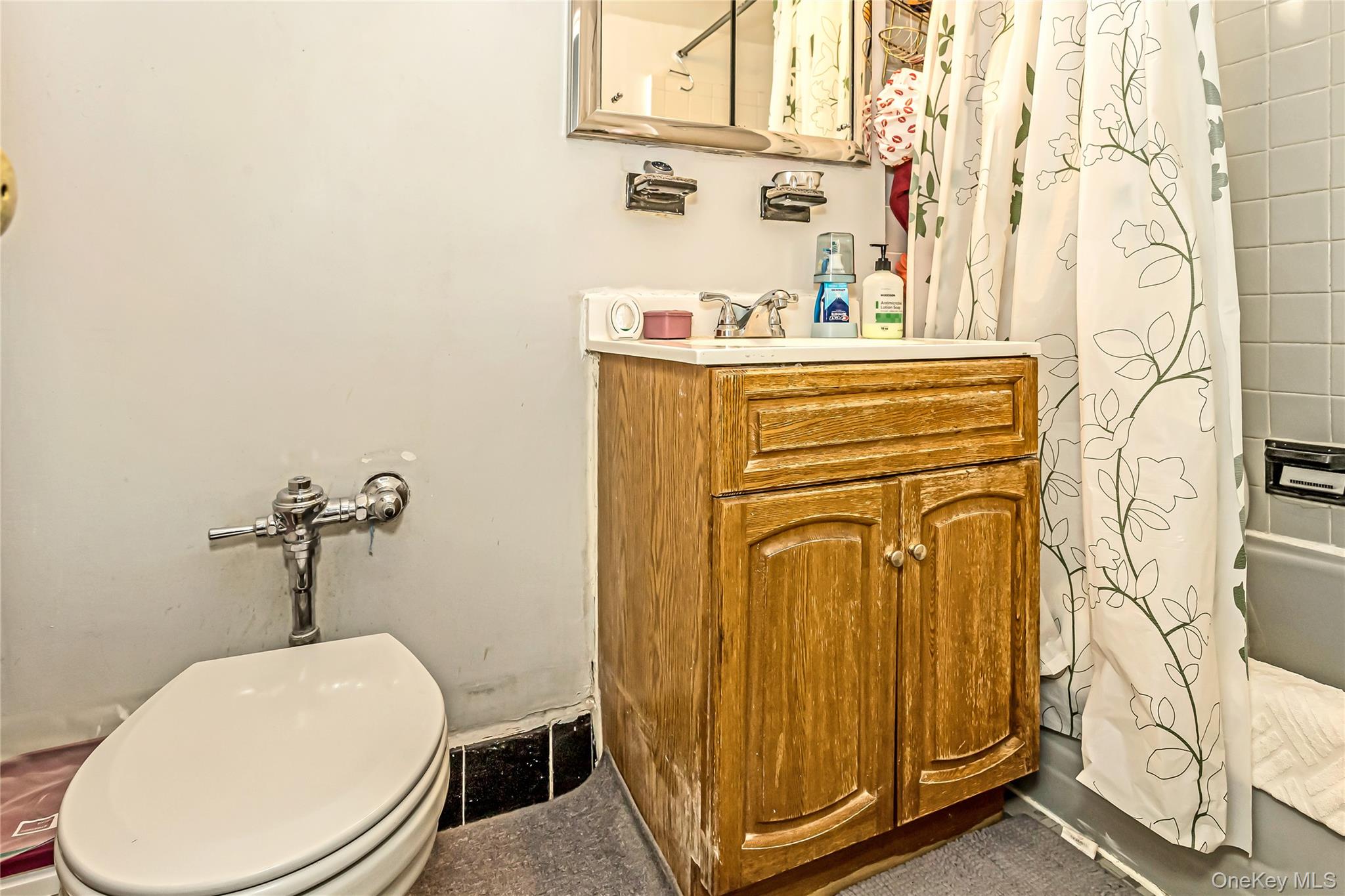 250 West Merrick Road, Unit 2L Freeport, NY 11520 - Photo 12 of 17 a bathroom with a sink a toilet and shower curtain