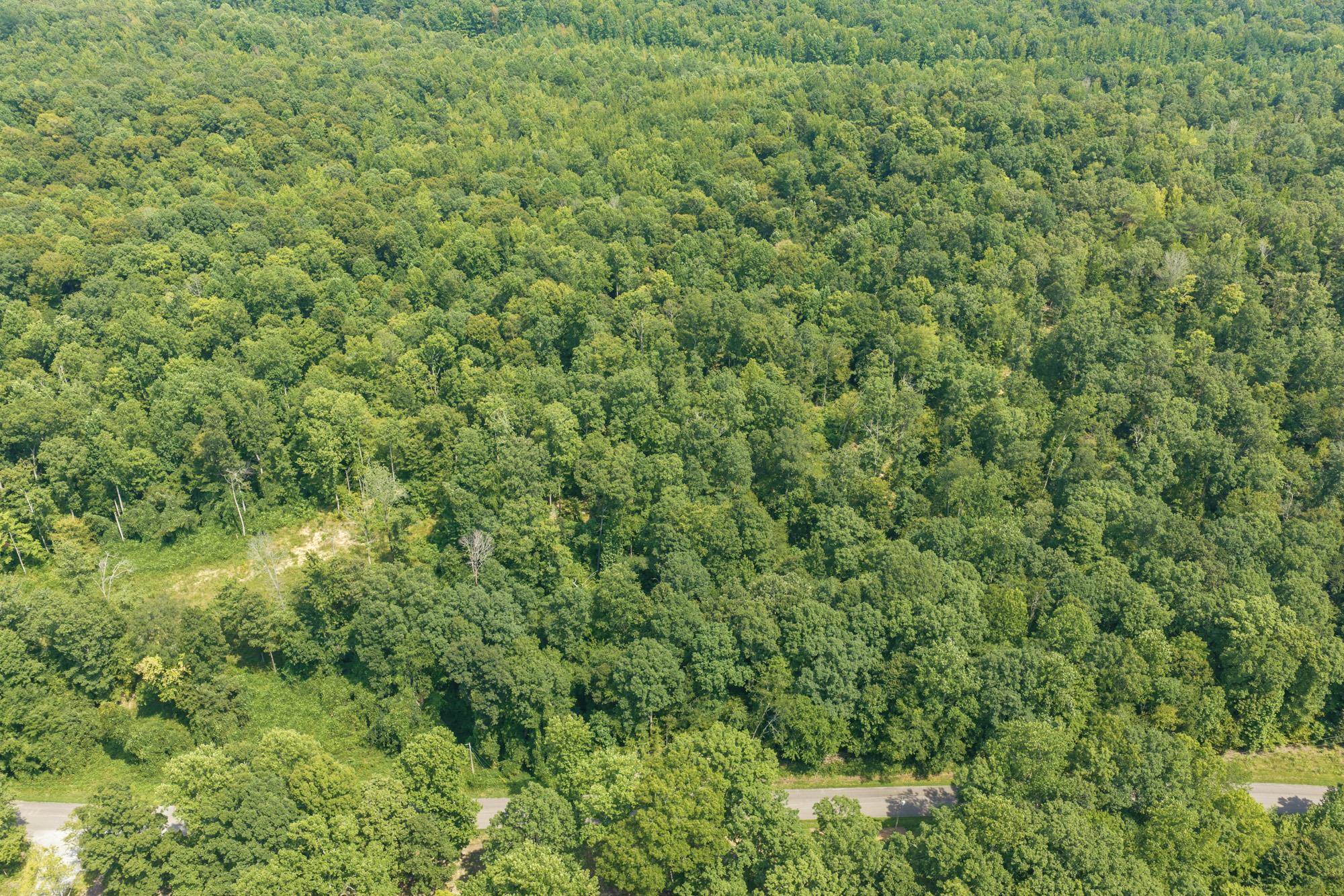 0 Holladay Road Holladay, TN 38341 - Photo 12 of 25 Gallery Image 12