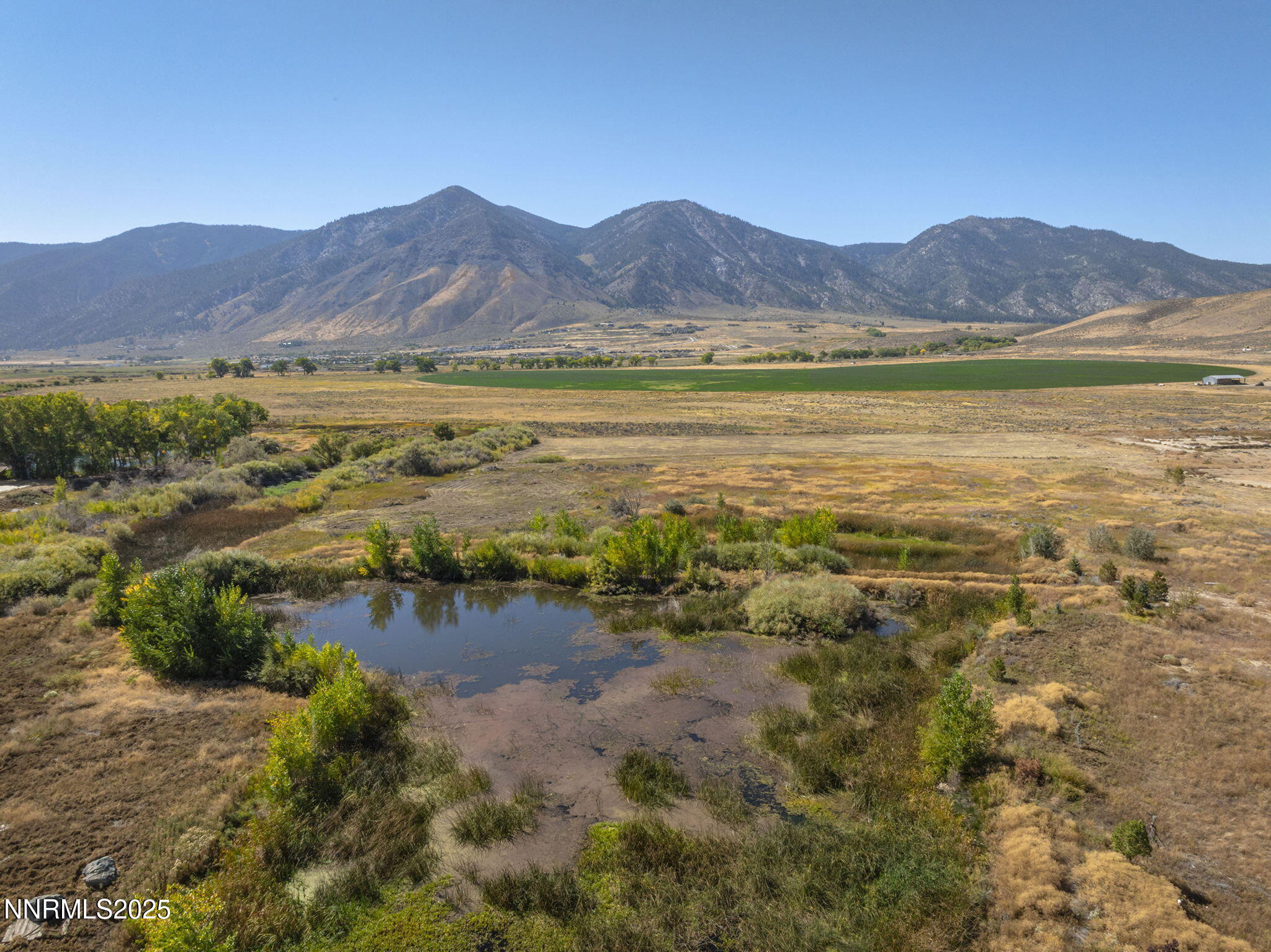 2960 Oasis Springs Road Minden, NV 89423 - Photo 58 of 61 61-web-or-mls-DJI_0516