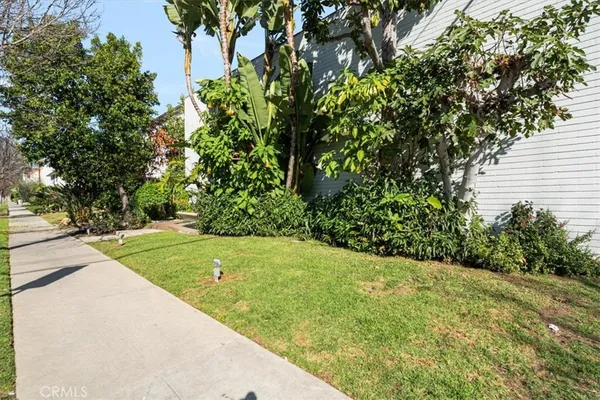 a view of a yard with plants