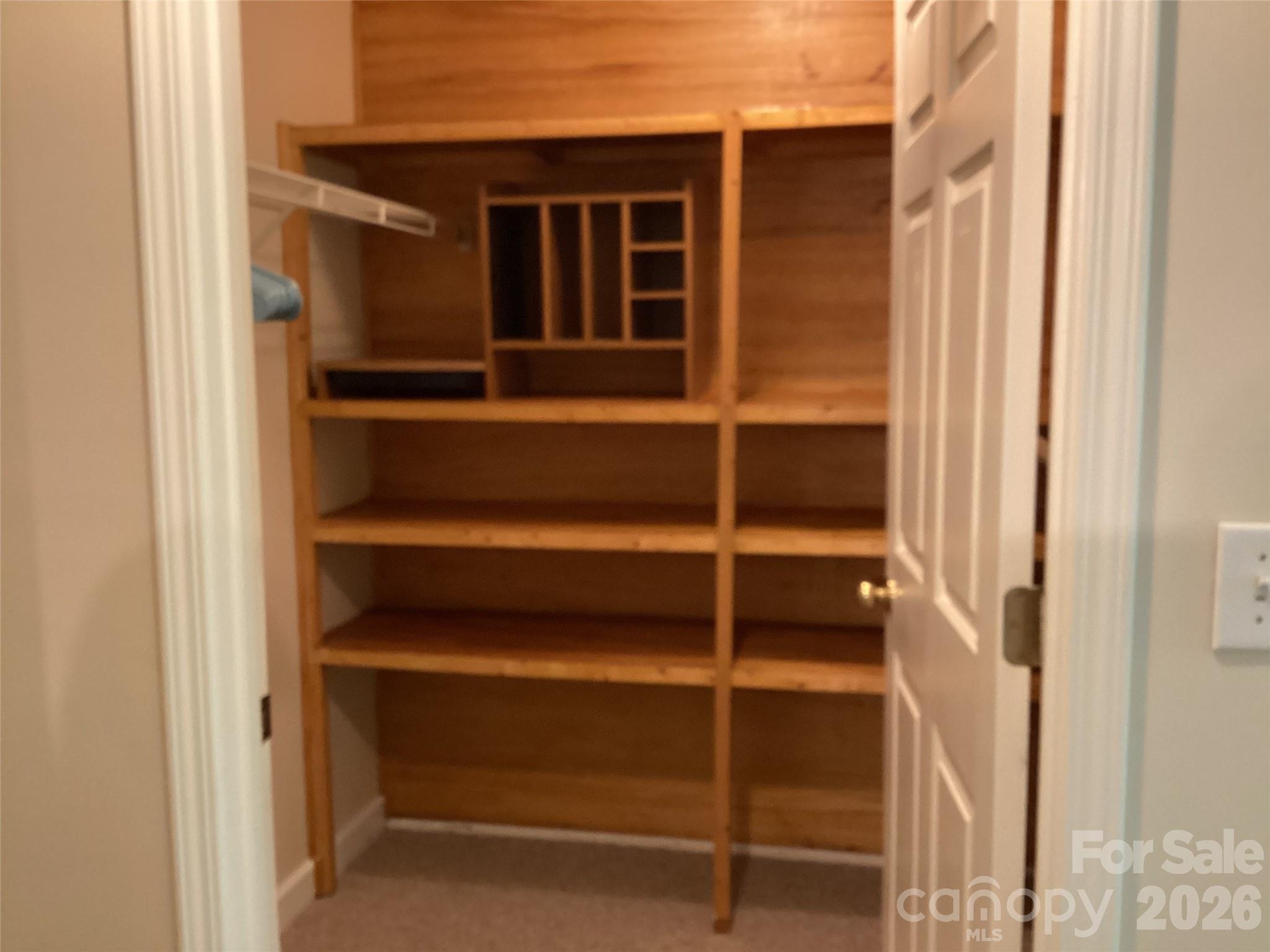 703 Olde Covington Way Arden, NC 28704 - Photo 19 of 23 a view of walk in closet with empty racks