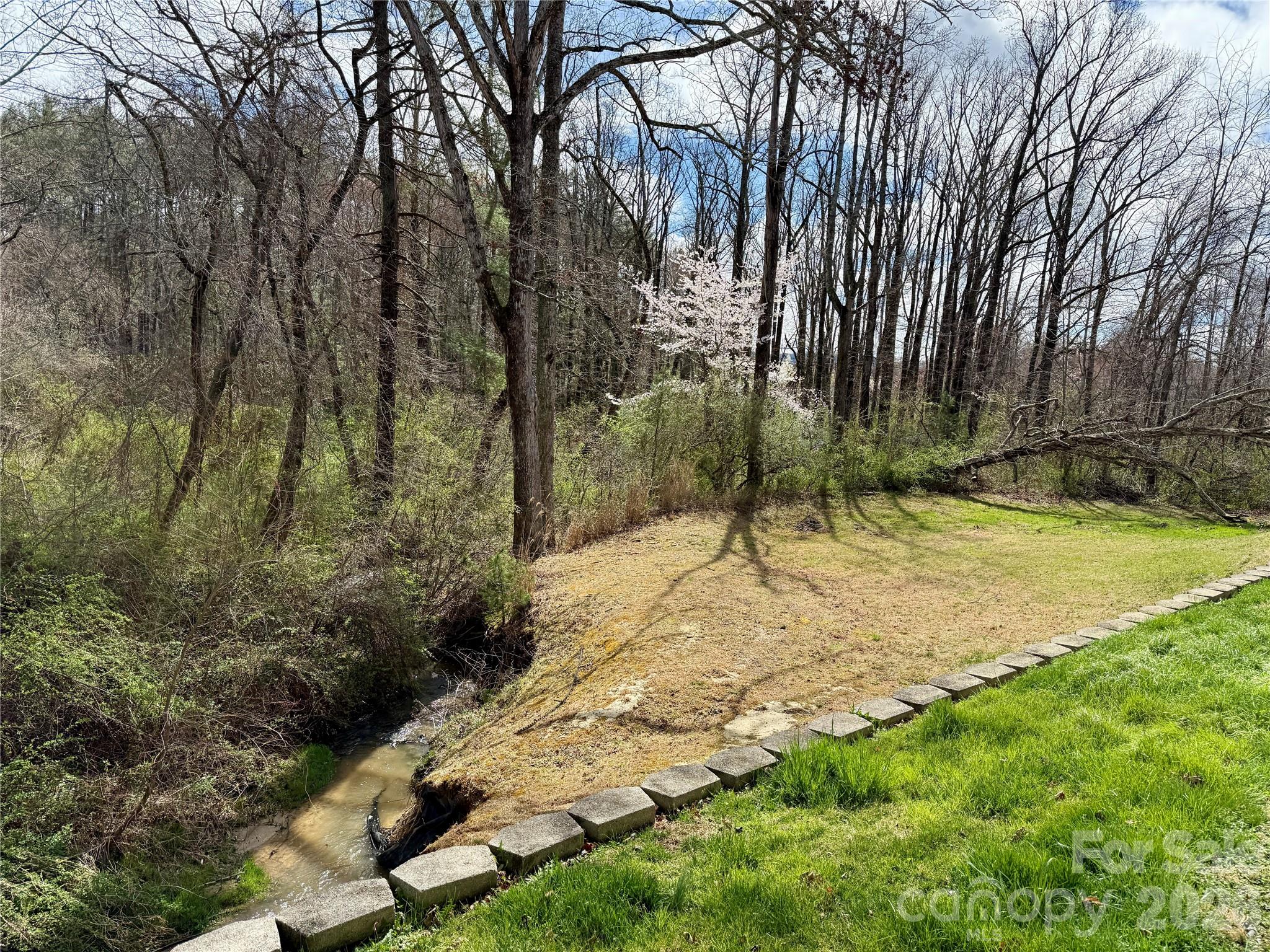 703 Olde Covington Way Arden, NC 28704 - Photo 5 of 23 a view of a backyard with large trees