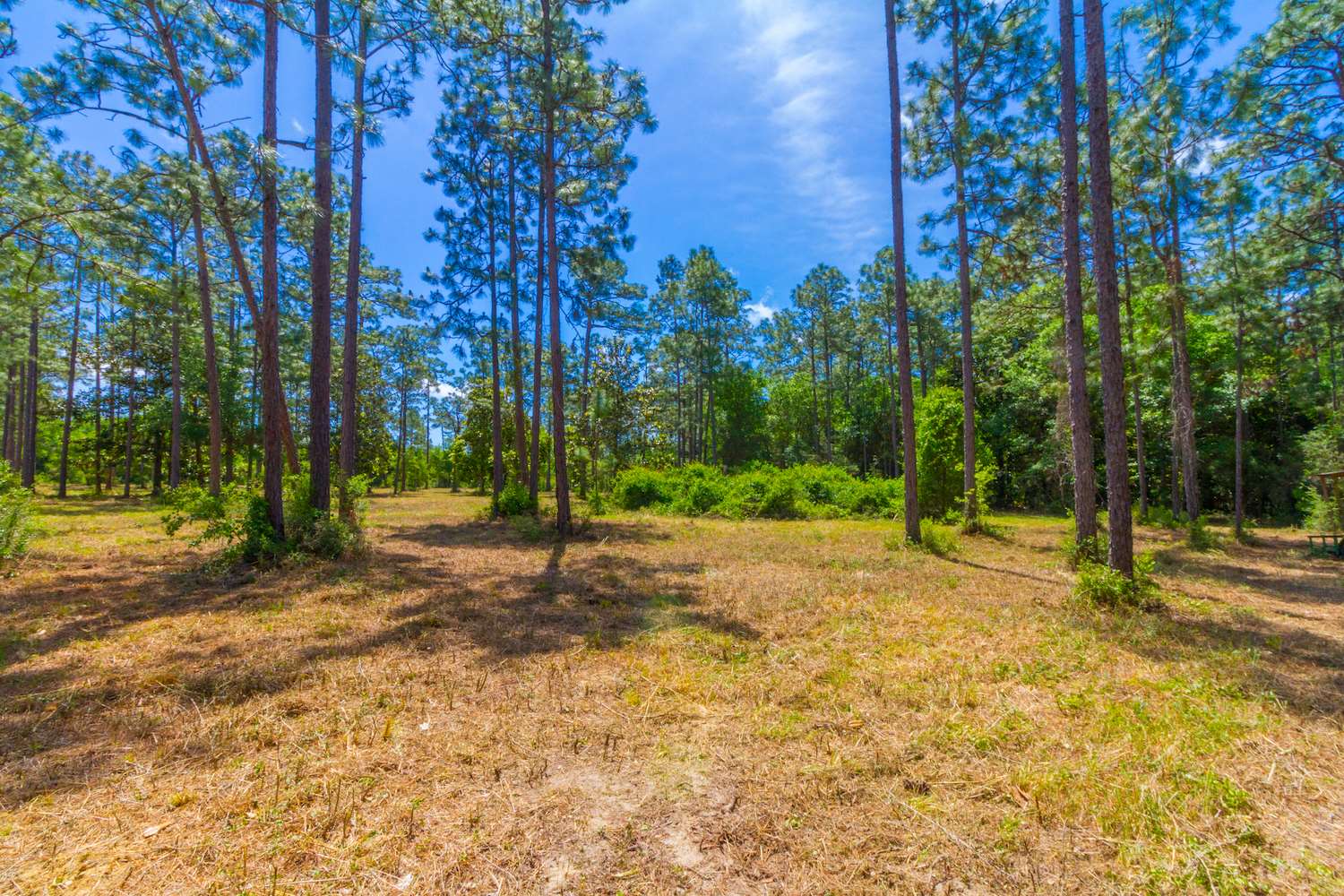 8844 Red Fish Pt Road Lillian, AL 36549 - Photo 7 of 16