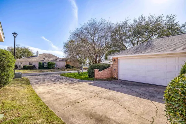 a view of backyard with tree