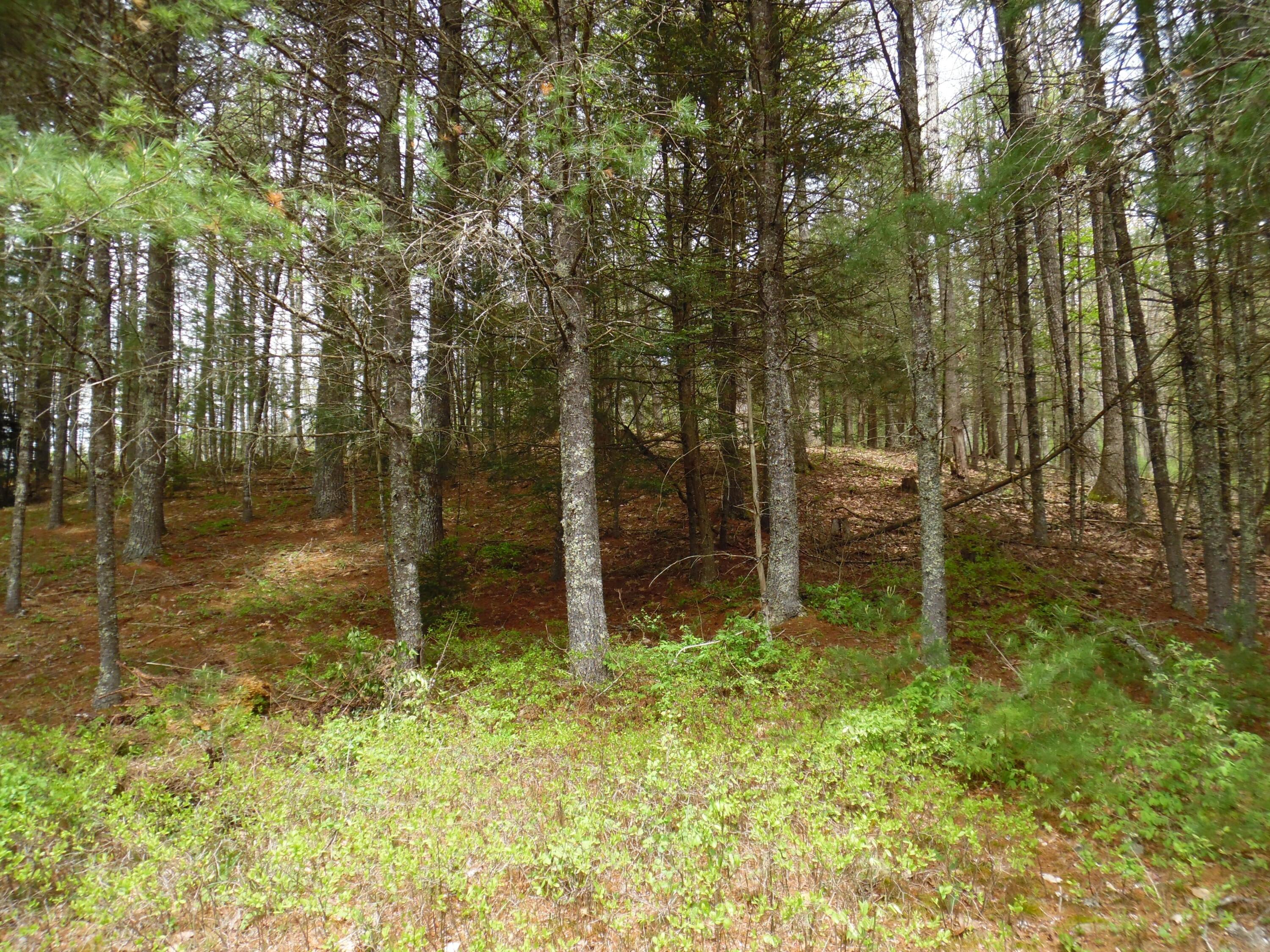5210 Wesley Chapel Road Green Bank, WV 24944 - Photo 65 of 93 Gallery Image 65