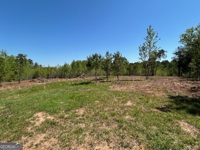 0 Silas Mercer Road Northeast Crawfordville, GA 30631 - Photo 4 of 12