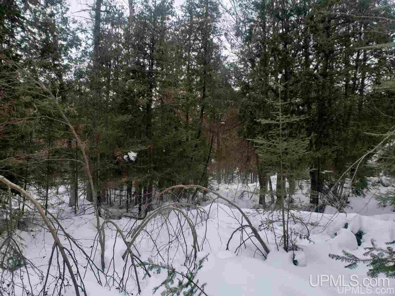 Tbd Tbd Leeman Road Felch, MI 49831 - Photo 6 of 8