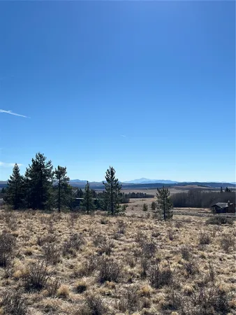 a view of a bunch of trees and covered with fog