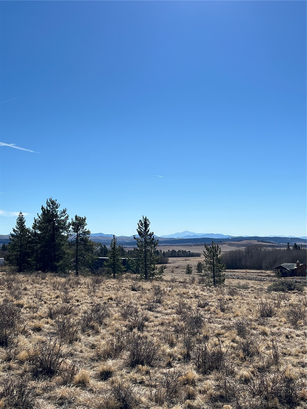 247 Thick Spike Road Fairplay, CO 80440 - Photo 11 of 13 a view of a bunch of trees and covered with fog