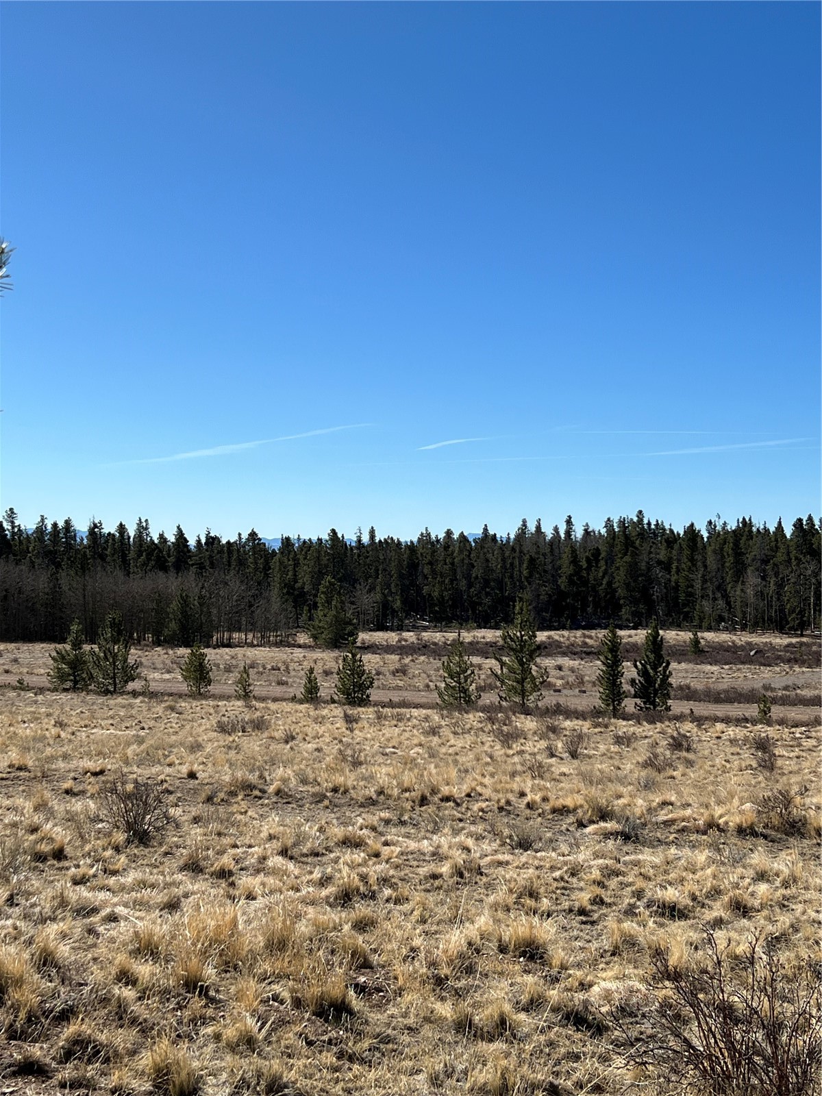 247 Thick Spike Road Fairplay, CO 80440 - Photo 12 of 13 a view of lake with mountain