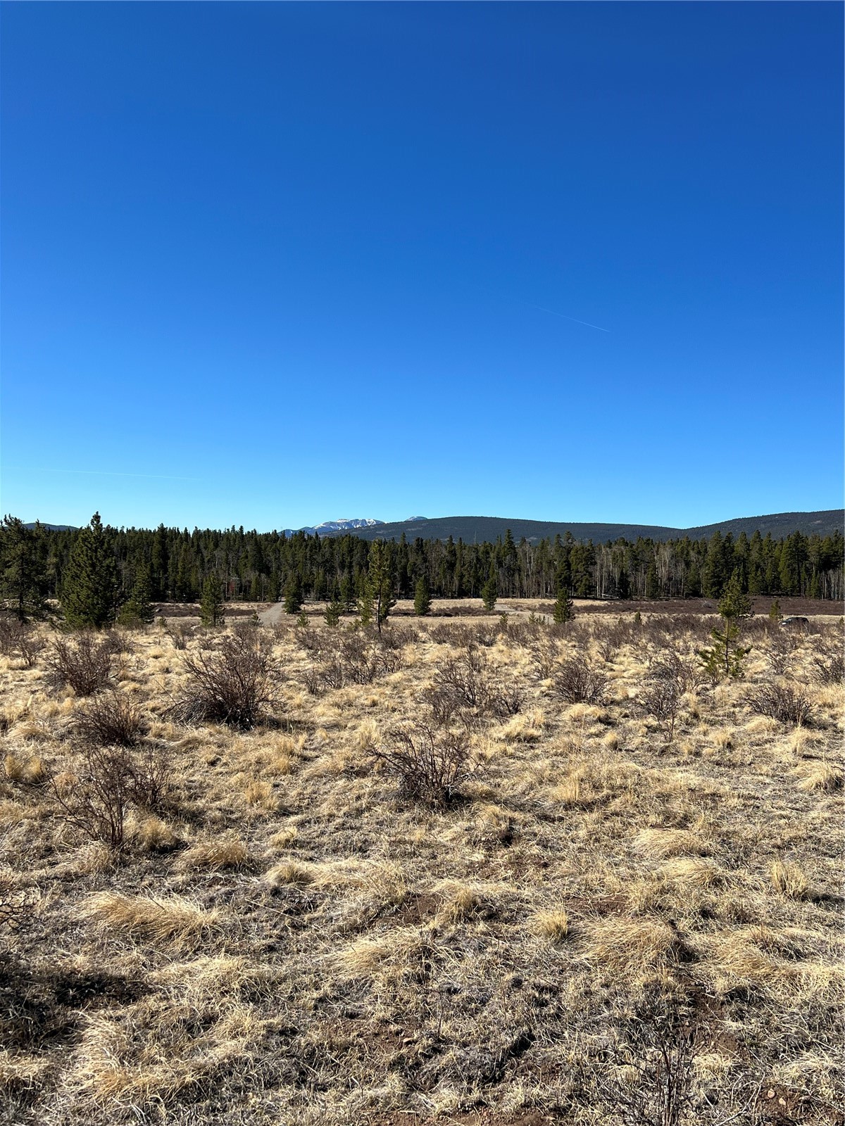 247 Thick Spike Road Fairplay, CO 80440 - Photo 5 of 13 a view of a lake view