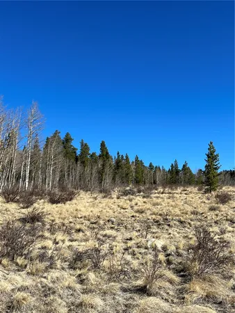 a view of a snow on a field