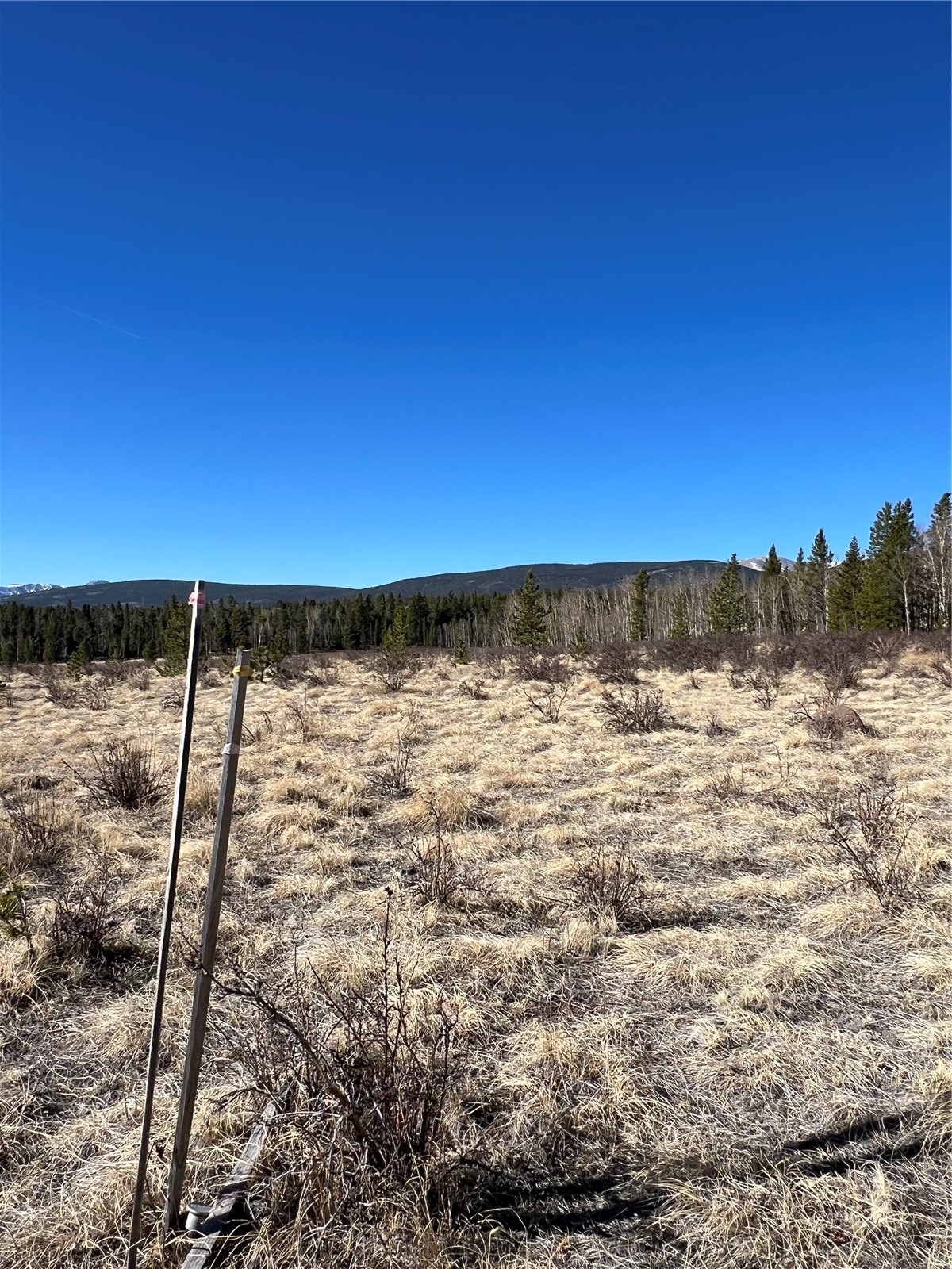 247 Thick Spike Road Fairplay, CO 80440 - Photo 9 of 13 a view of yard with an ocean