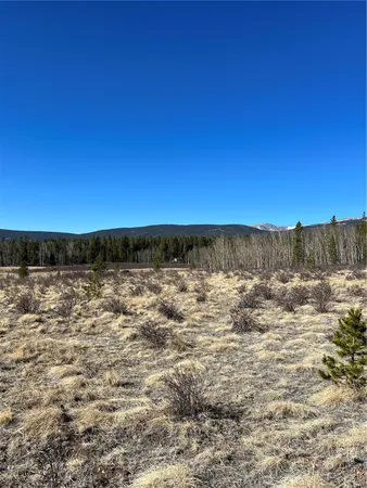 a view of a sky from a yard