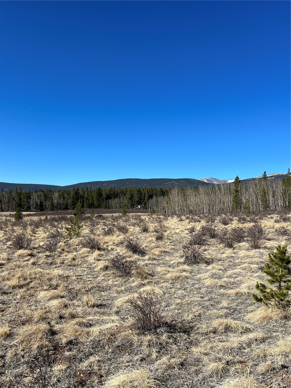 247 Thick Spike Road Fairplay, CO 80440 - Photo 10 of 13 a view of a sky from a yard