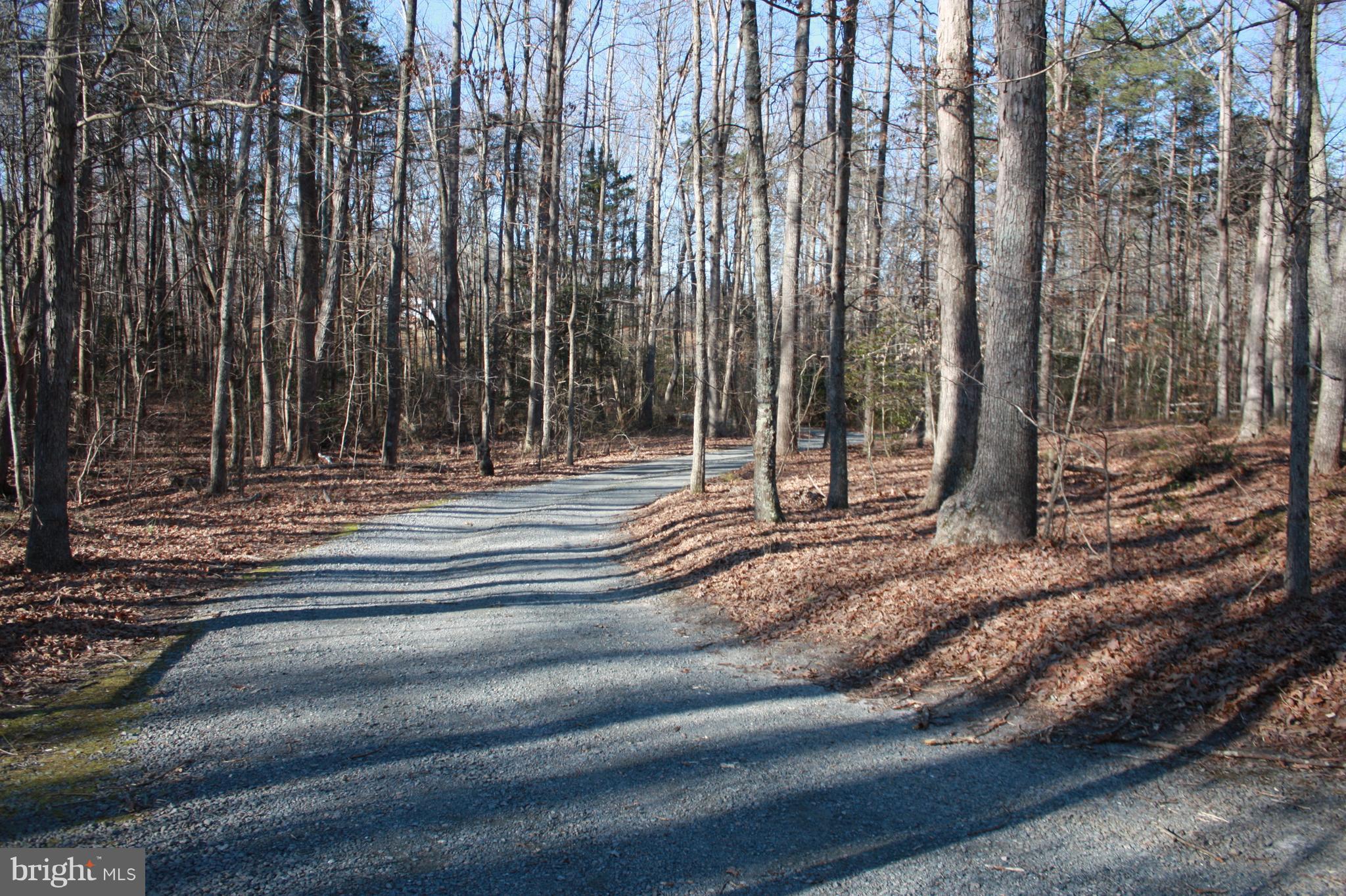 435 Halls Store Road Mineral, VA 23117 - Photo 4 of 26 View