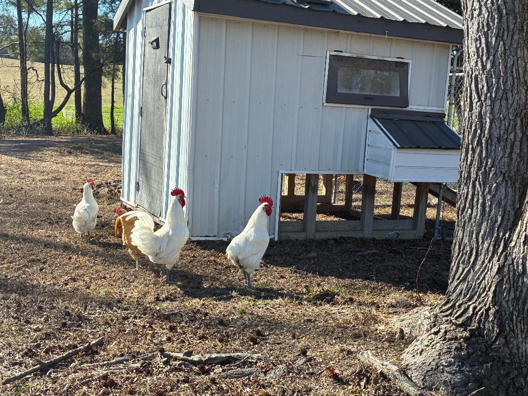 340 Hidden Pne Trail Dayton, TN 37321 - Photo 11 of 33 HID14