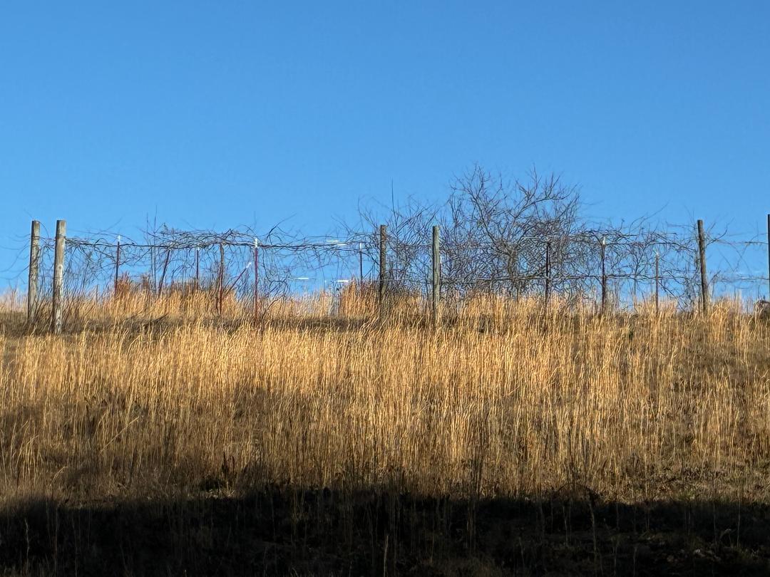 340 Hidden Pne Trail Dayton, TN 37321 - Photo 30 of 33 hid6