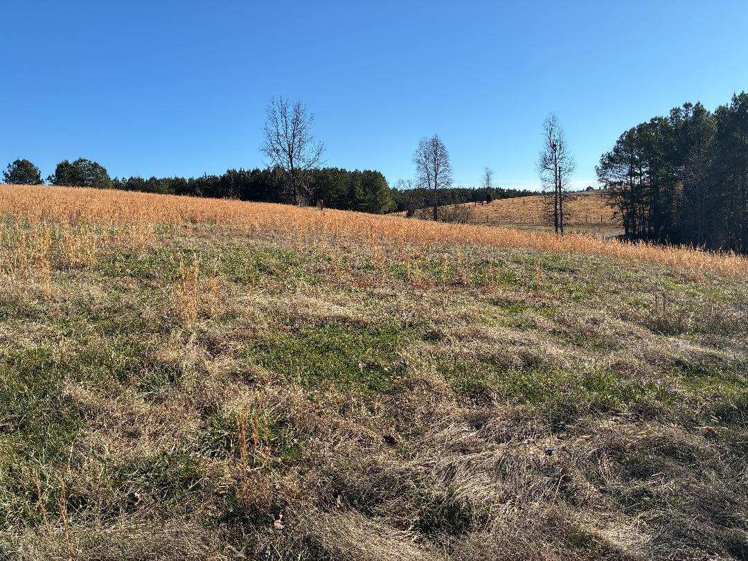 340 Hidden Pne Trail Dayton, TN 37321 - Photo 32 of 33 hid2