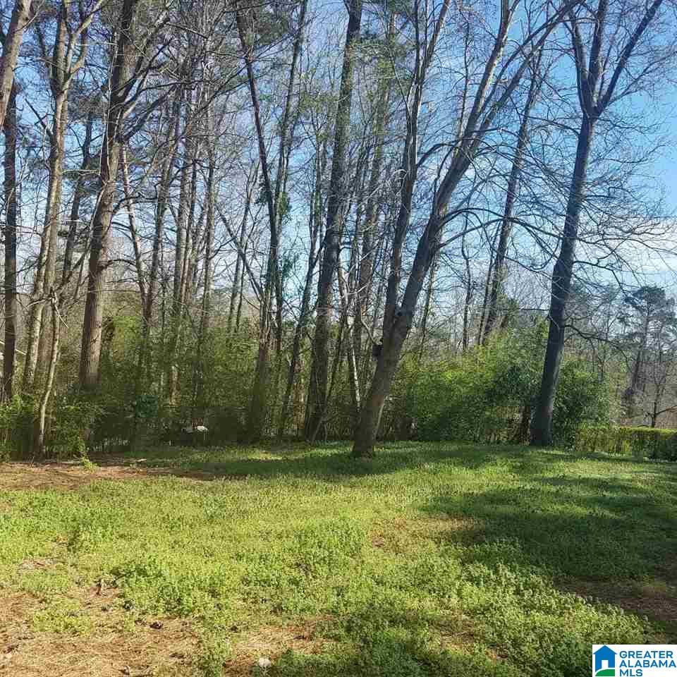 3003 Woodruff Mill Road Adamsville, AL 35005 - Photo 10 of 12