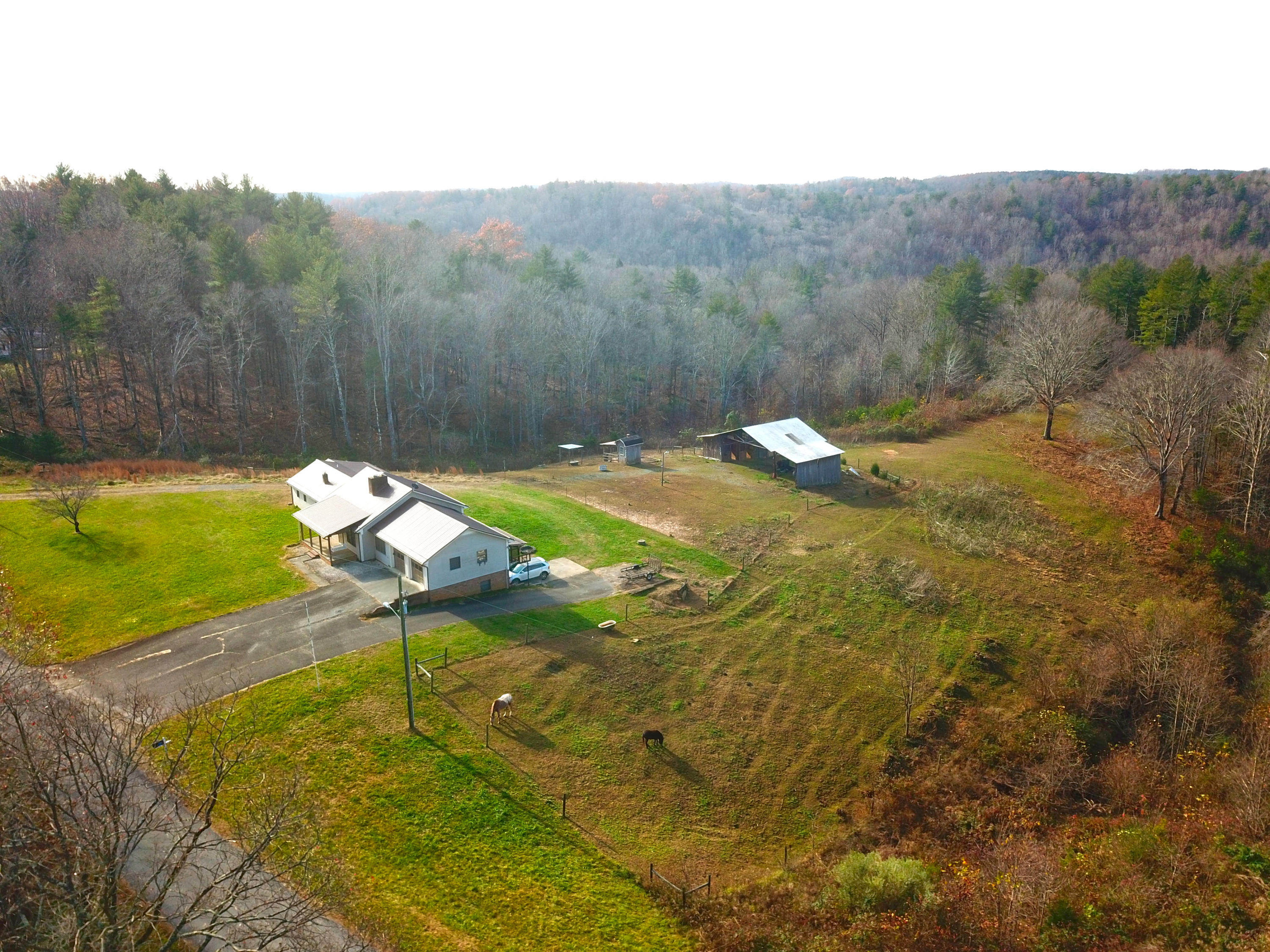 485 Haw Patch Road Ferrum, VA 24088 - Photo 6 of 23 a backyard of a house with table and chairs