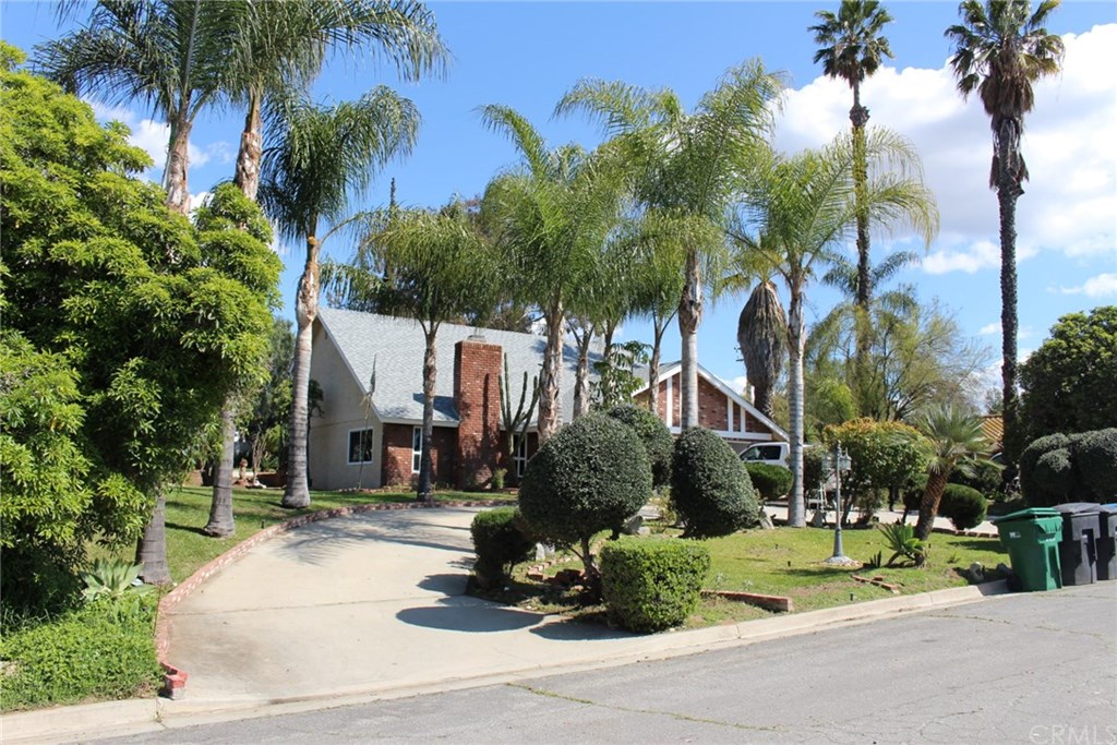 16050 Rancho Viejo Drive Riverside, CA 92506 - Photo 1 of 1 a view of street with palm trees