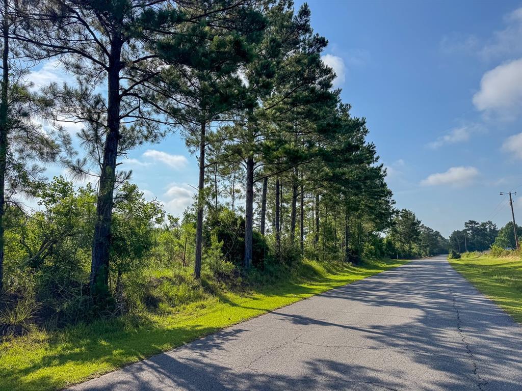 T-1 Ellis West Road Pitkin, LA 70656 - Photo 8 of 18