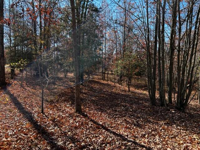 0 Hobbstown Road, Unit 7 Dunlap, TN 37327 - Photo 3 of 4 IMG_3391