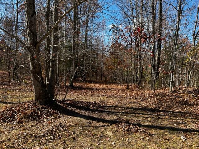 0 Hobbstown Road, Unit 7 Dunlap, TN 37327 - Photo 4 of 4 IMG_3392