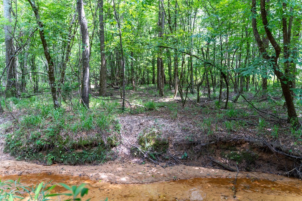 3 Comers Pond Road Pittsview, AL 36871 - Photo 13 of 51