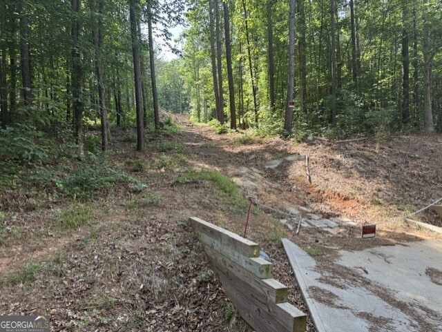 108 Sawtooth Place Carnesville, GA 30521 - Photo 6 of 6 a view of outdoor space with trees all around