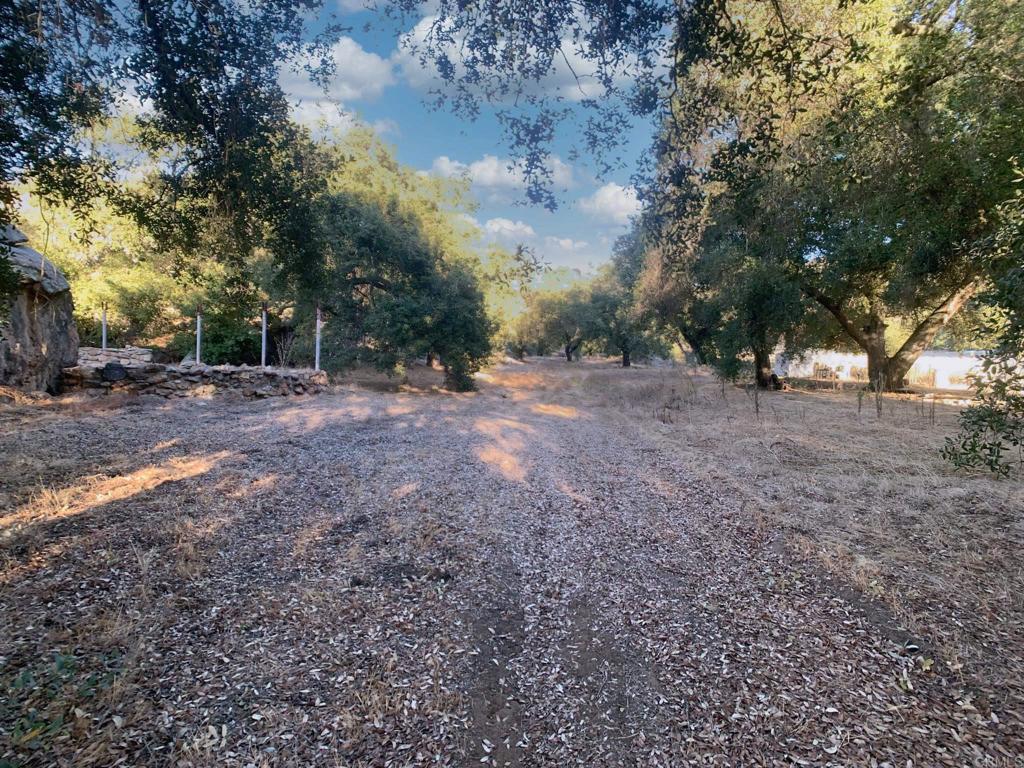24352 Featherstone Canyon Road Lakeside, CA 92040 - Photo 37 of 68 a view of a yard with a tree