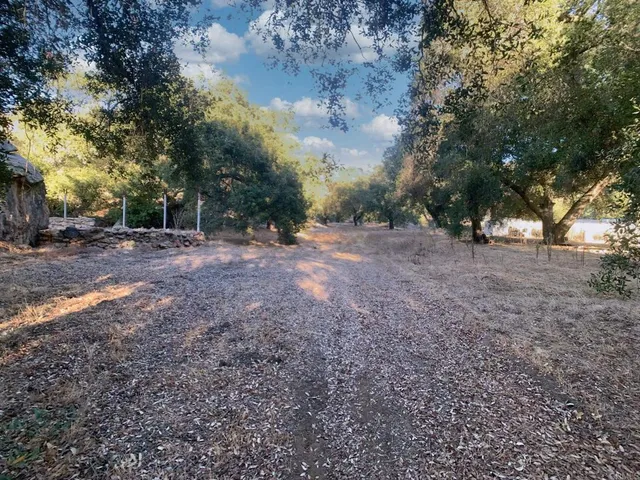 a view of a livingroom with furniture window and a fireplace