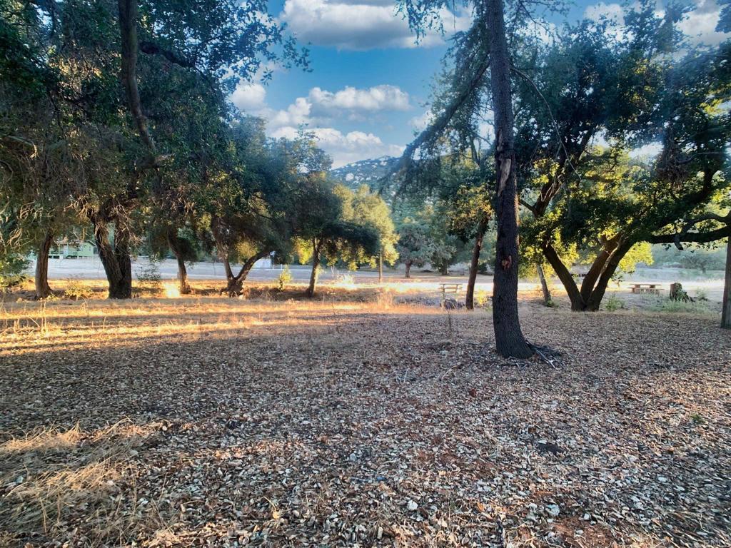 24352 Featherstone Canyon Road Lakeside, CA 92040 - Photo 5 of 72 a view of road with trees