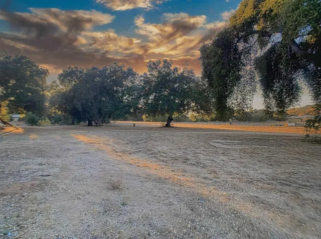 a view of outdoor space with trees