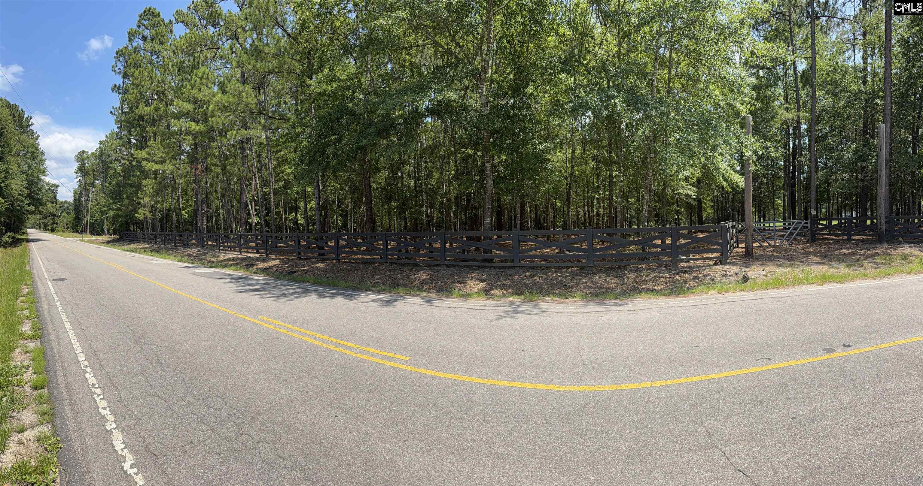 812 Sandfield Road Blythewood, SC 29016 - Photo 23 of 25